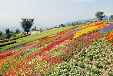 フルーツ公園